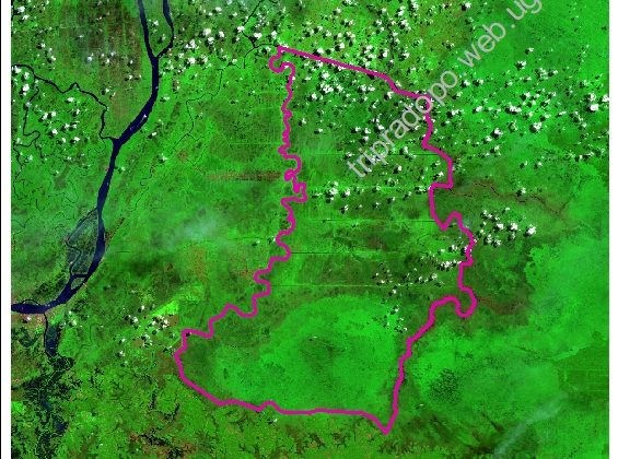 Citra Landsat Suaka Margasatwa Padang Sugihan Tahun 2000